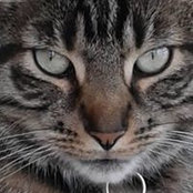 Patty Smith's photo