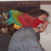 Peter Loda's photo