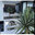 Living 4 Landscapes