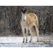 Justine Gooding's photo