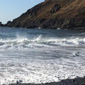 Lisa Wallerstein's photo
