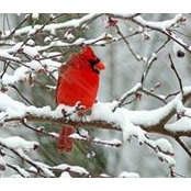 Barbara Bootsma's photo