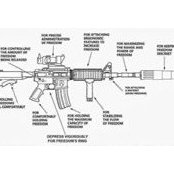 Jonathan Ott's photo