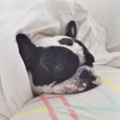 Foto von Jennifer Chung