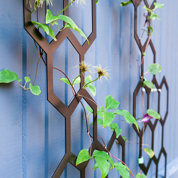 Honeycomb trellis with clematis vines
