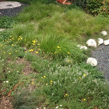 Blissful Gardens/Green Dragon Design