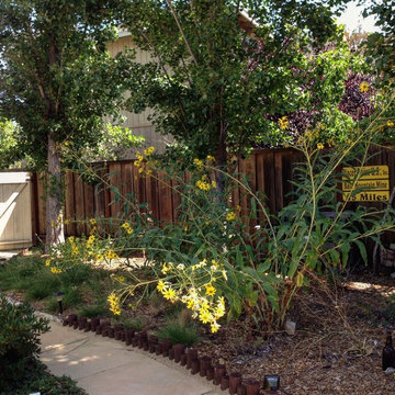 CA Xeriscape