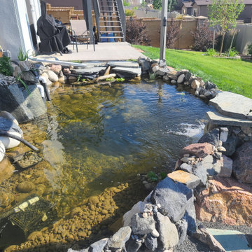 Custom✨ Koi Pond
