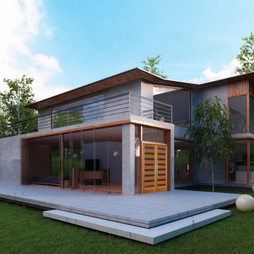 Contemporary Exterior Doors