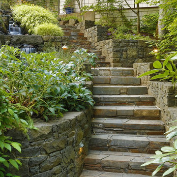 Landscape and Maintenance
