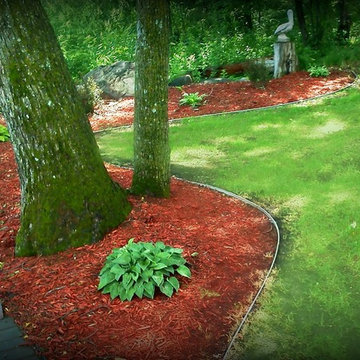 Plant Material