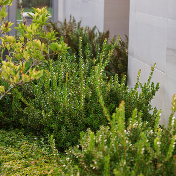 Kirkland Residencial Garden