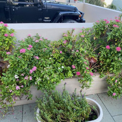 USING PATHWAY LIGHTING IN UNIQUE WAY CREATES A ROOFTOP HAVEN IN TAMPA - Path Lights