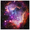 NASA Magellanic Cloud Glossy Lacquer Canvas Wall Art Print 30" x 30"