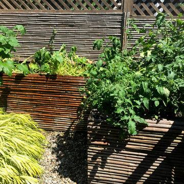 Japanese-style backyard garden - (Newark)