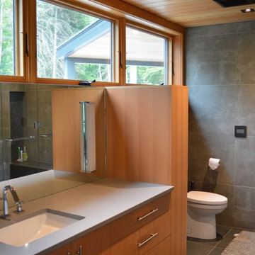 Four Season Cottage near Haliburton