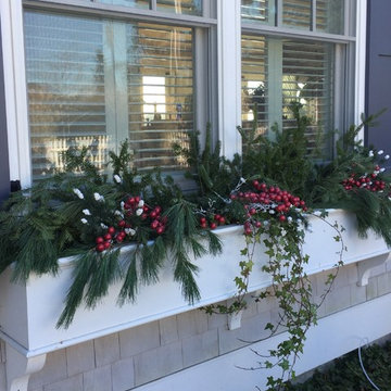 Planters & WIndow Boxes