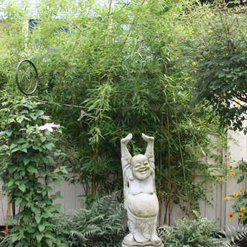 Charming Urban Garden
