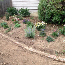 garden problem