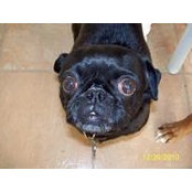 Stephane Mc Donald's photo