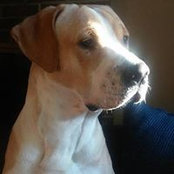 Ashley Johnson's photo