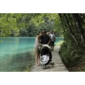 Ofri Dovrat's photo