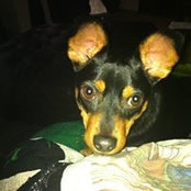 Julie Shaffer's photo