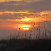 Robert Walker's photo