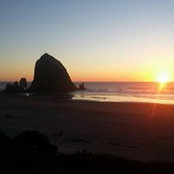 Greg Della's photo