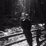 Noah Ostroff's photo
