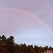 Rebekah McLear's photo