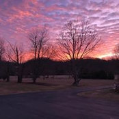 Lisa Cooke's photo