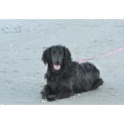 Amber Sheridan's photo