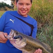 ShaYvette Hernandez-Todd's photo