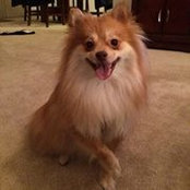 Stephanie Branam's photo