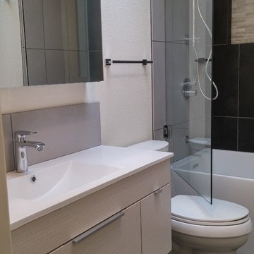 Peter & Natalie Allenspach Residence (Master Bathroom)