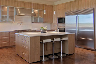 Kitchen - contemporary kitchen idea in Austin
