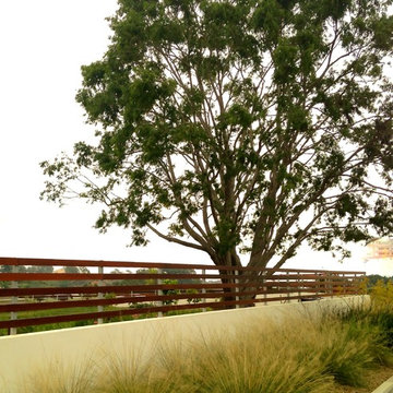 Landscape Elements