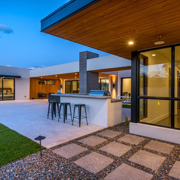 Desert Modern - Camello
