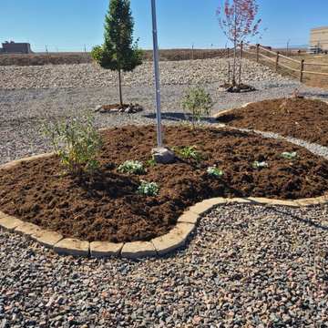 Landscaping Renovation (Berm, Irrigation System, Sod, Trees, Hardscaping)