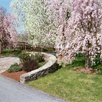 Assorted Plantings