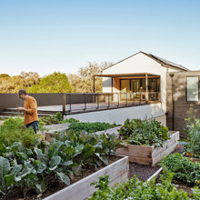 Vegetable Garden