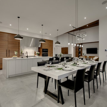 Modern Kitchen