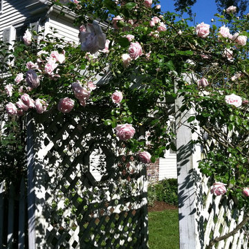 Romantic rose arbor