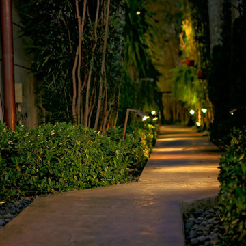 Landscape Lighting for Pathway with Lighting Control