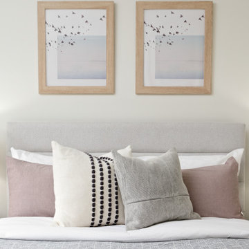 Second Bedroom - Transitional