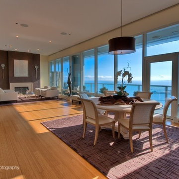Chicago Penthouse
