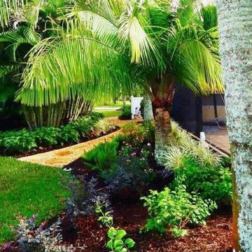 Tropical Pathway