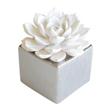 Wish List