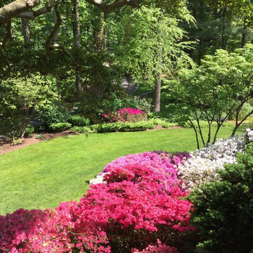 Landscaping Projects
